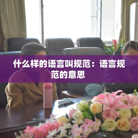 什么樣的語言叫規(guī)范:語言規(guī)范的意思