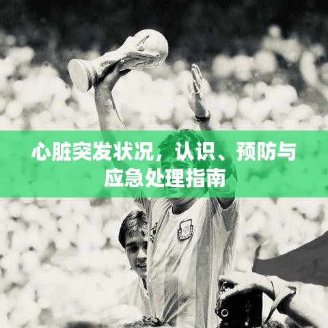 心臟突發(fā)狀況,認(rèn)識(shí)、預(yù)防與應(yīng)急處理指南