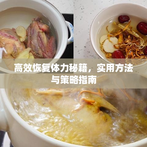 高效恢復(fù)體力秘籍,實(shí)用方法與策略指南