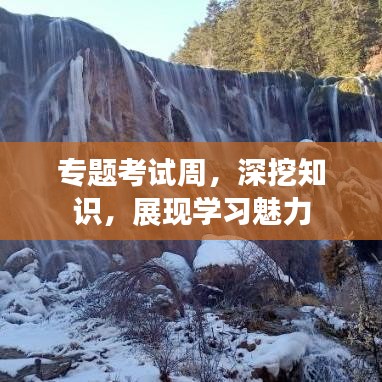 專題考試周，深挖知識，展現學習魅力