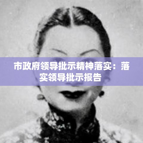 市政府領導批示精神落實:落實領導批示報告
