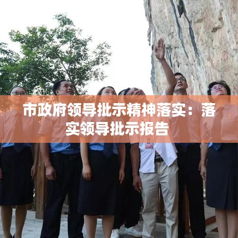 市政府領(lǐng)導(dǎo)批示精神落實:落實領(lǐng)導(dǎo)批示報告