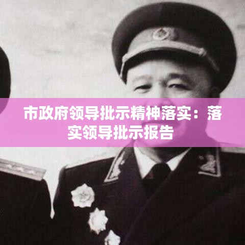 市政府領(lǐng)導(dǎo)批示精神落實:落實領(lǐng)導(dǎo)批示報告