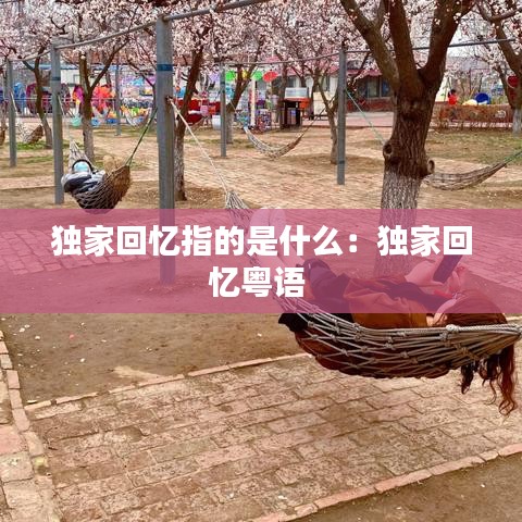 獨家回憶指的是什么:獨家回憶粵語