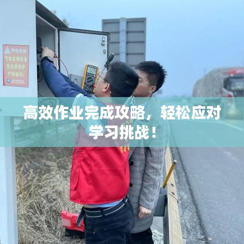 高效作業完成攻略,輕松應對學習挑戰!