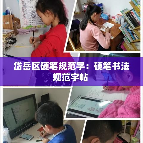 岱岳區硬筆規范字:硬筆書法規范字帖