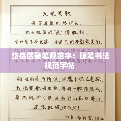 岱岳區硬筆規范字:硬筆書法規范字帖