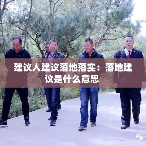 建議人建議落地落實:落地建議是什么意思