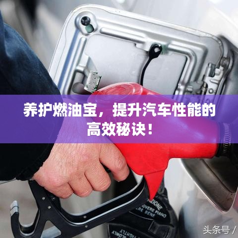 養護燃油寶,提升汽車性能的高效秘訣!