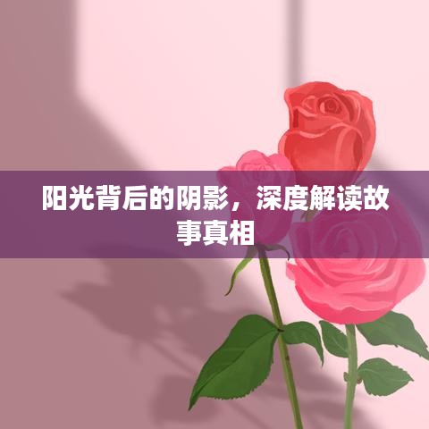 陽光背后的陰影,深度解讀故事真相