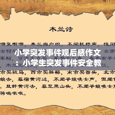 小學突發事件觀后感作文：小學生突發事件安全教育手抄報 