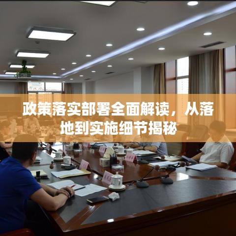 政策落實部署全面解讀,從落地到實施細節揭秘