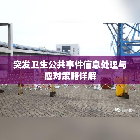 突發衛生公共事件信息處理與應對策略詳解