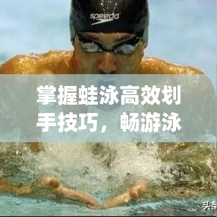 掌握蛙泳高效劃手技巧,暢游泳池無界限