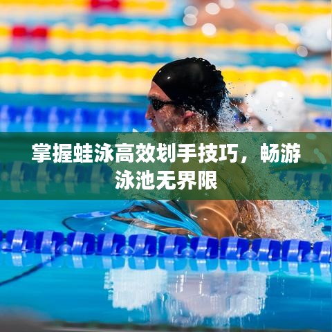 掌握蛙泳高效劃手技巧,暢游泳池?zé)o界限