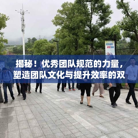 揭秘!優(yōu)秀團隊規(guī)范的力量,塑造團隊文化與提升效率的雙重秘訣