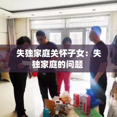 失獨家庭關懷子女:失獨家庭的問題