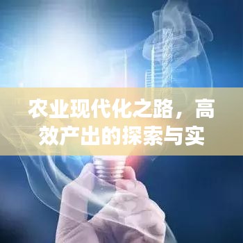 農業現代化之路,高效產出的探索與實踐