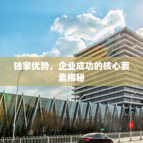獨家優勢，企業成功的核心要素揭秘