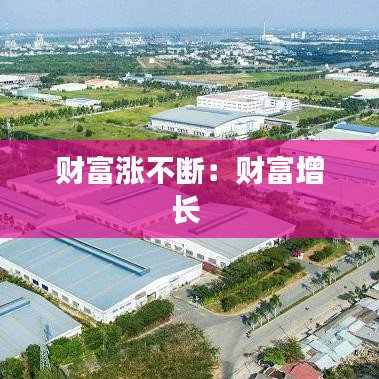 財富漲不斷:財富增長