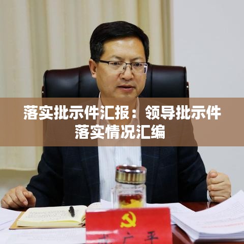 落實批示件匯報:領導批示件落實情況匯編