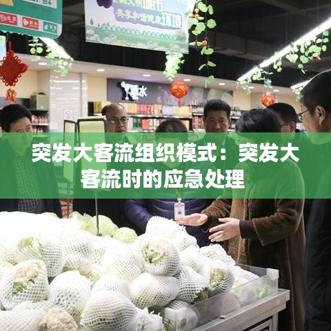 突發大客流組織模式:突發大客流時的應急處理