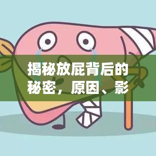 揭秘放屁背后的秘密,原因、影響與應對方法