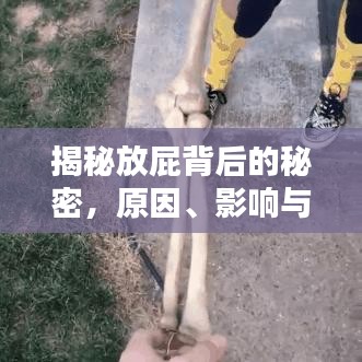 揭秘放屁背后的秘密,原因、影響與應對方法