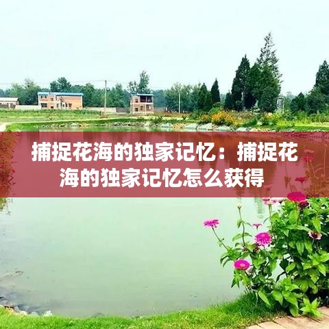 捕捉花海的獨(dú)家記憶:捕捉花海的獨(dú)家記憶怎么獲得