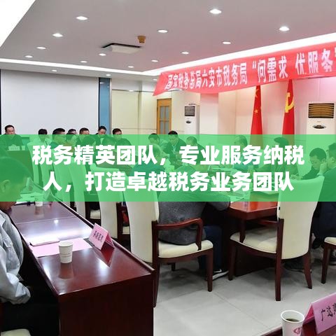 稅務(wù)精英團(tuán)隊(duì),專(zhuān)業(yè)服務(wù)納稅人,打造卓越稅務(wù)業(yè)務(wù)團(tuán)隊(duì)