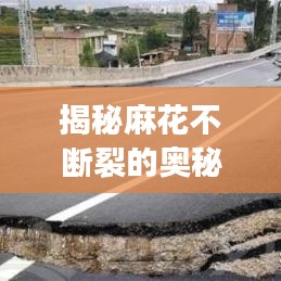 揭秘麻花不斷裂的奧秘,制作技巧全攻略