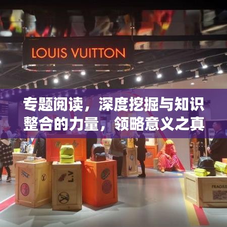 專題閱讀,深度挖掘與知識整合的力量,領略意義之真諦