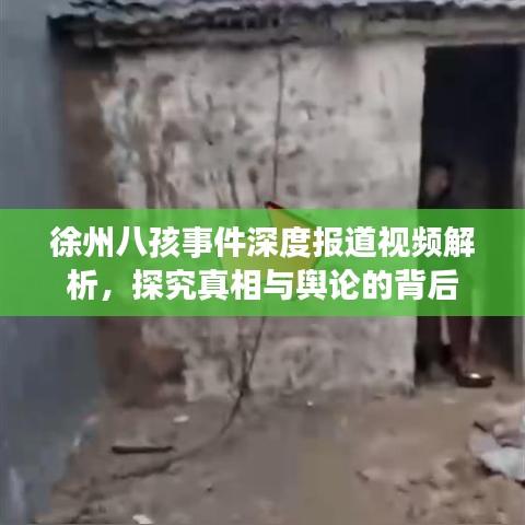 徐州八孩事件深度報道視頻解析,探究真相與輿論的背后