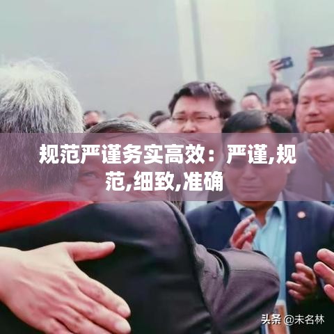 規范嚴謹務實高效:嚴謹,規范,細致,準確