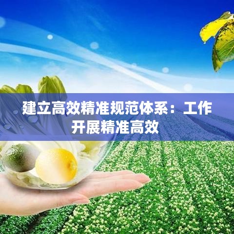建立高效精準規范體系:工作開展精準高效
