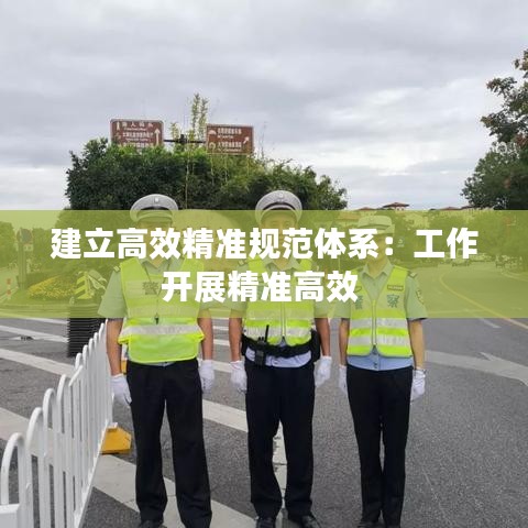 建立高效精準規范體系:工作開展精準高效