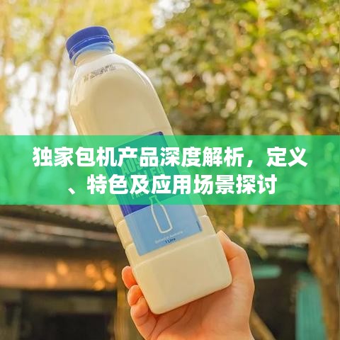 獨家包機產(chǎn)品深度解析,定義、特色及應(yīng)用場景探討