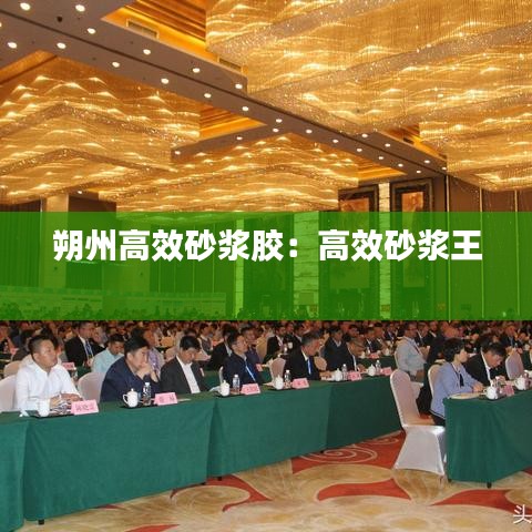 朔州高效砂漿膠:高效砂漿王