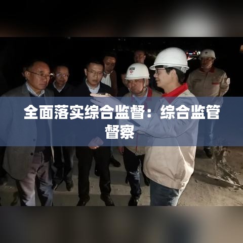 全面落實綜合監督:綜合監管督察