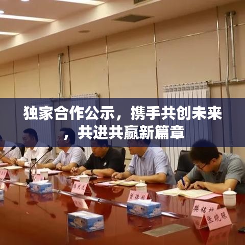 獨家合作公示,攜手共創(chuàng)未來,共進共贏新篇章