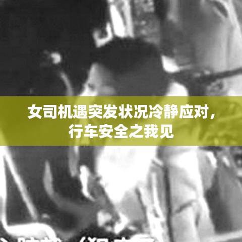 女司機遇突發狀況冷靜應對,行車安全之我見