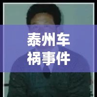 泰州車禍?zhǔn)录颐兀鹗鹿首钚孪⑴c深度解析