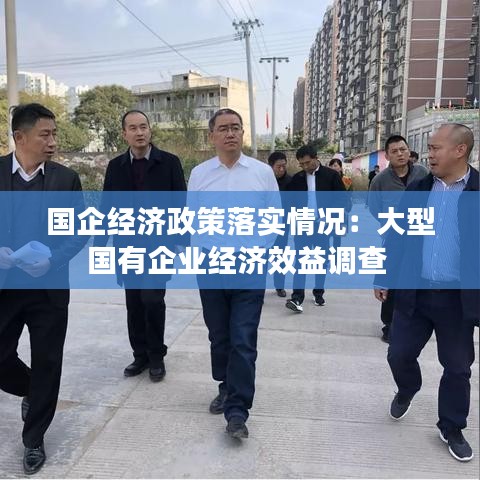 國企經濟政策落實情況：大型國有企業經濟效益調查 