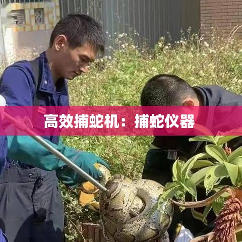 高效捕蛇機:捕蛇儀器