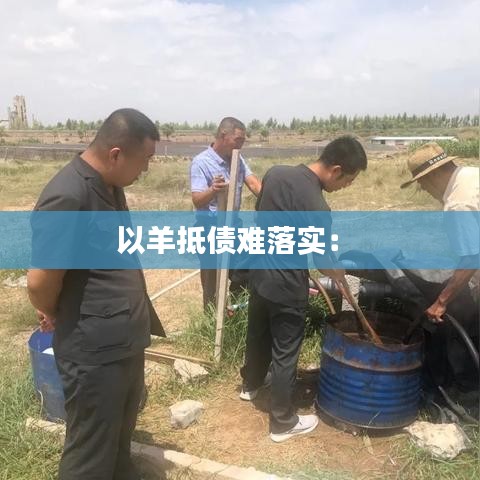 以羊抵債難落實: