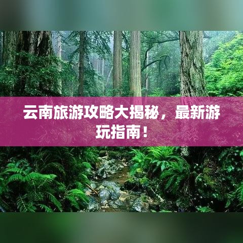 云南旅游攻略大揭秘,最新游玩指南!