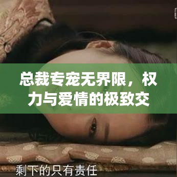 總裁專(zhuān)寵無(wú)界限，權(quán)力與愛(ài)情的極致交融