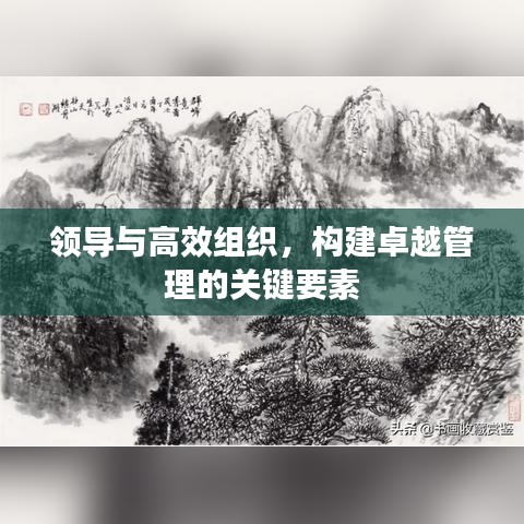 領導與高效組織,構建卓越管理的關鍵要素