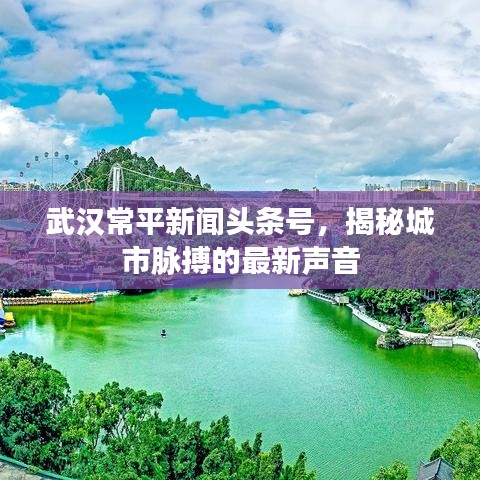 武漢常平新聞頭條號,揭秘城市脈搏的最新聲音