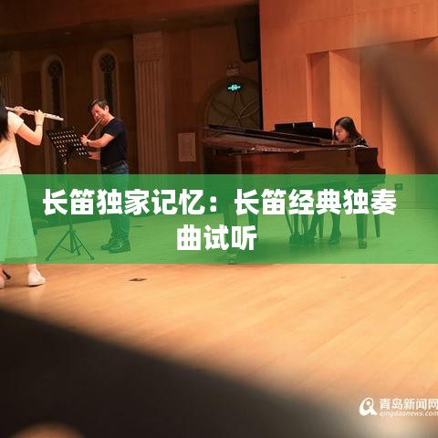 長(zhǎng)笛獨(dú)家記憶:長(zhǎng)笛經(jīng)典獨(dú)奏曲試聽